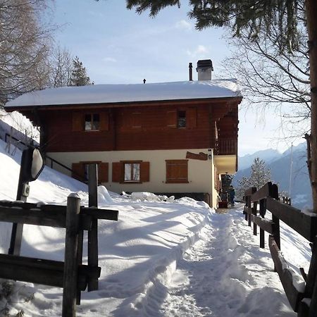 Chalet Faigaux 维松纳 外观 照片